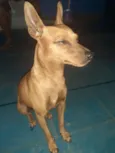 Théo