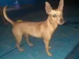 Théo
