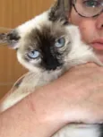 Malu