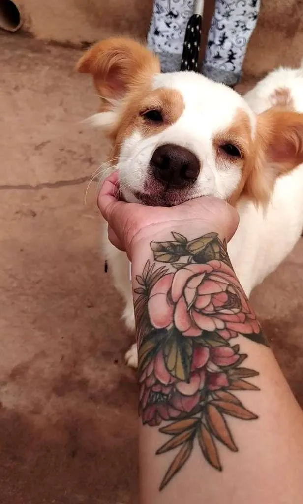 Cachorro ra a Srd idade 1 ano nome Marie