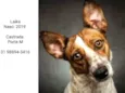 LAIKA