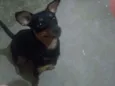 Mel