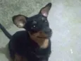 Mel