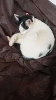 Juliette