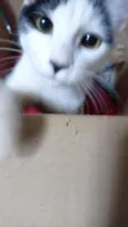 Juliette