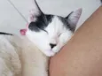 Juliette