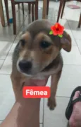 sem nomes definidos