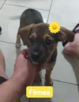 sem nomes definidos