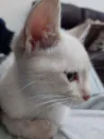 Mariáh