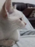 Mariáh