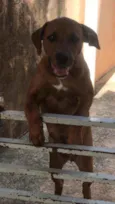 Princesa