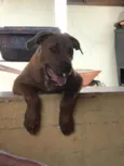 Princesa