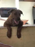 Princesa