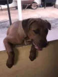 Princesa