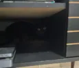 Bruce
