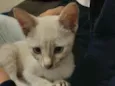 Mariáh