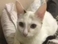 Marie