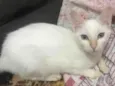 Ursula