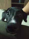 Athena