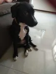 Athena
