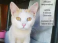 Letícia
