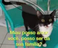 Zoe