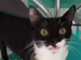 Zoe