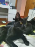 Sombra