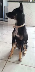 Lua