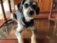 Shao Khan
