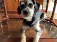 Shao Khan