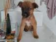 Ted