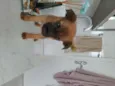 Ted