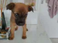 Ted
