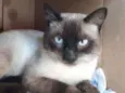 Tom
