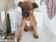 Ted