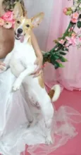 Mel