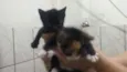 Juliana e Juliete