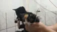 Juliana e Juliete