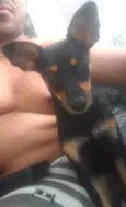 Bel