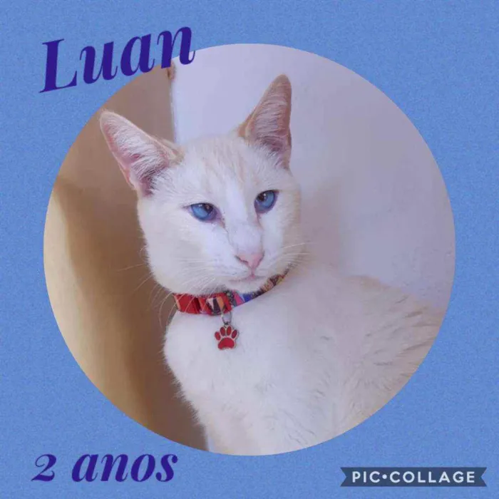 Luan 