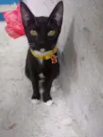 Lua