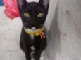 Lua
