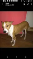 Alemão
