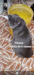 Sem nome