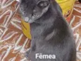 Sem nome