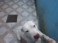 Hanna