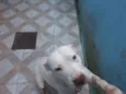 Hanna
