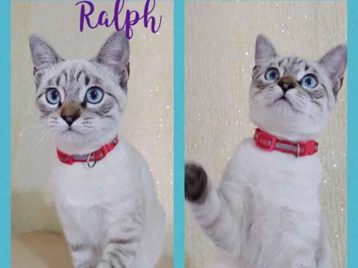 Ralph
