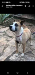HUGO
